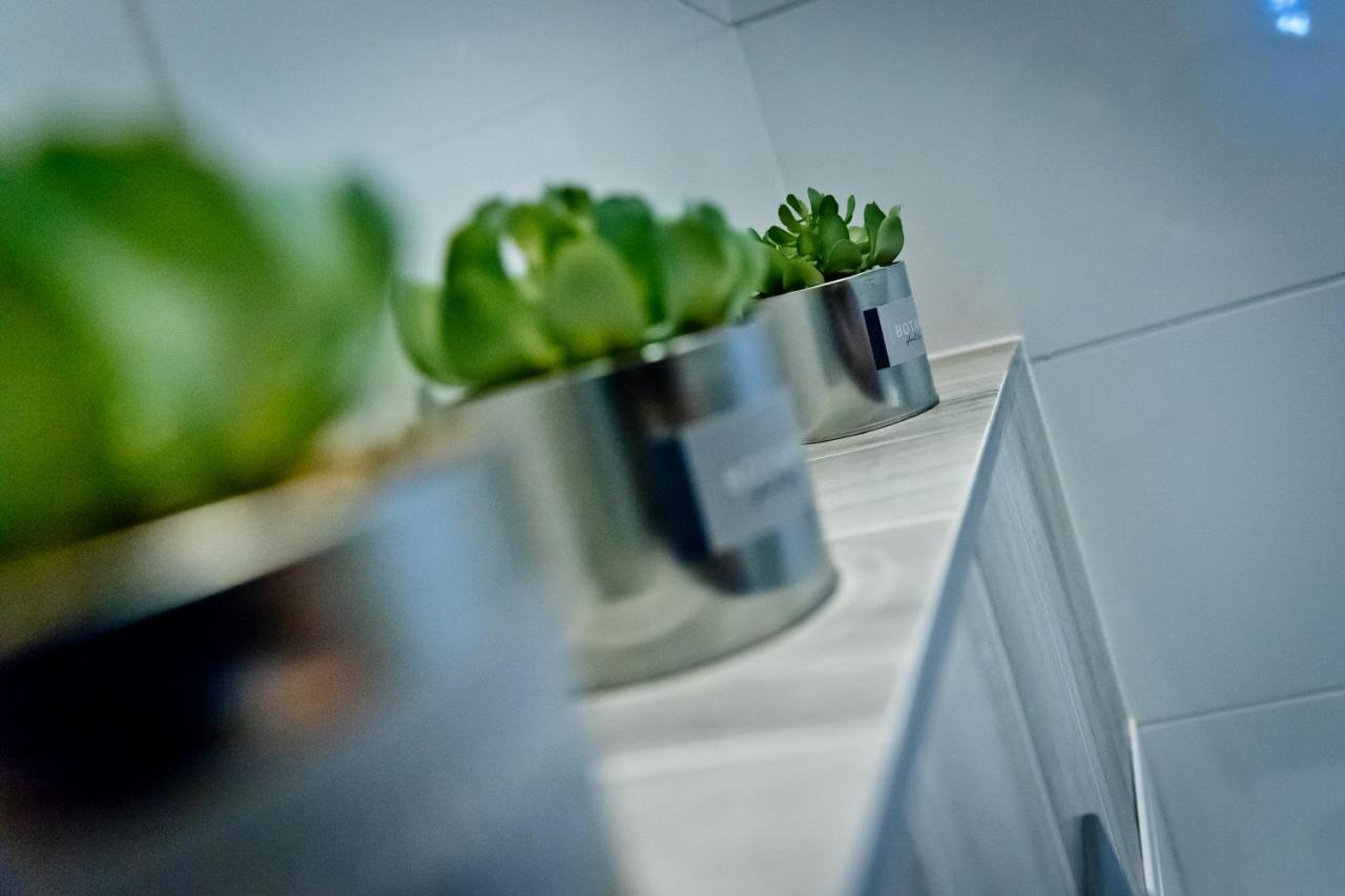 Apartament Kalinka Nysa Exteriör bild